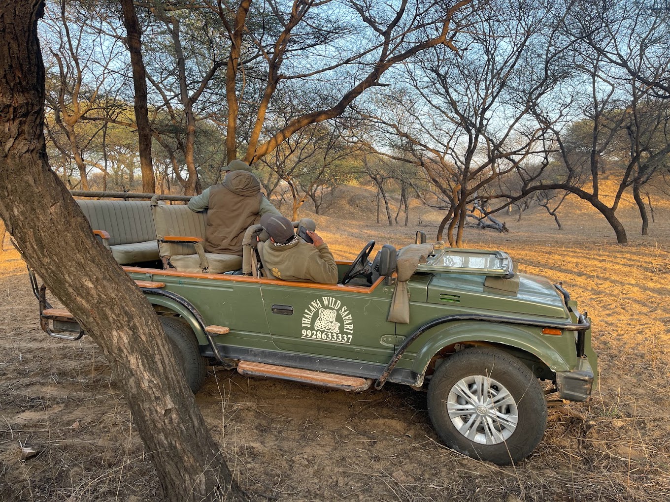 Jhalana Leopard Safari Park