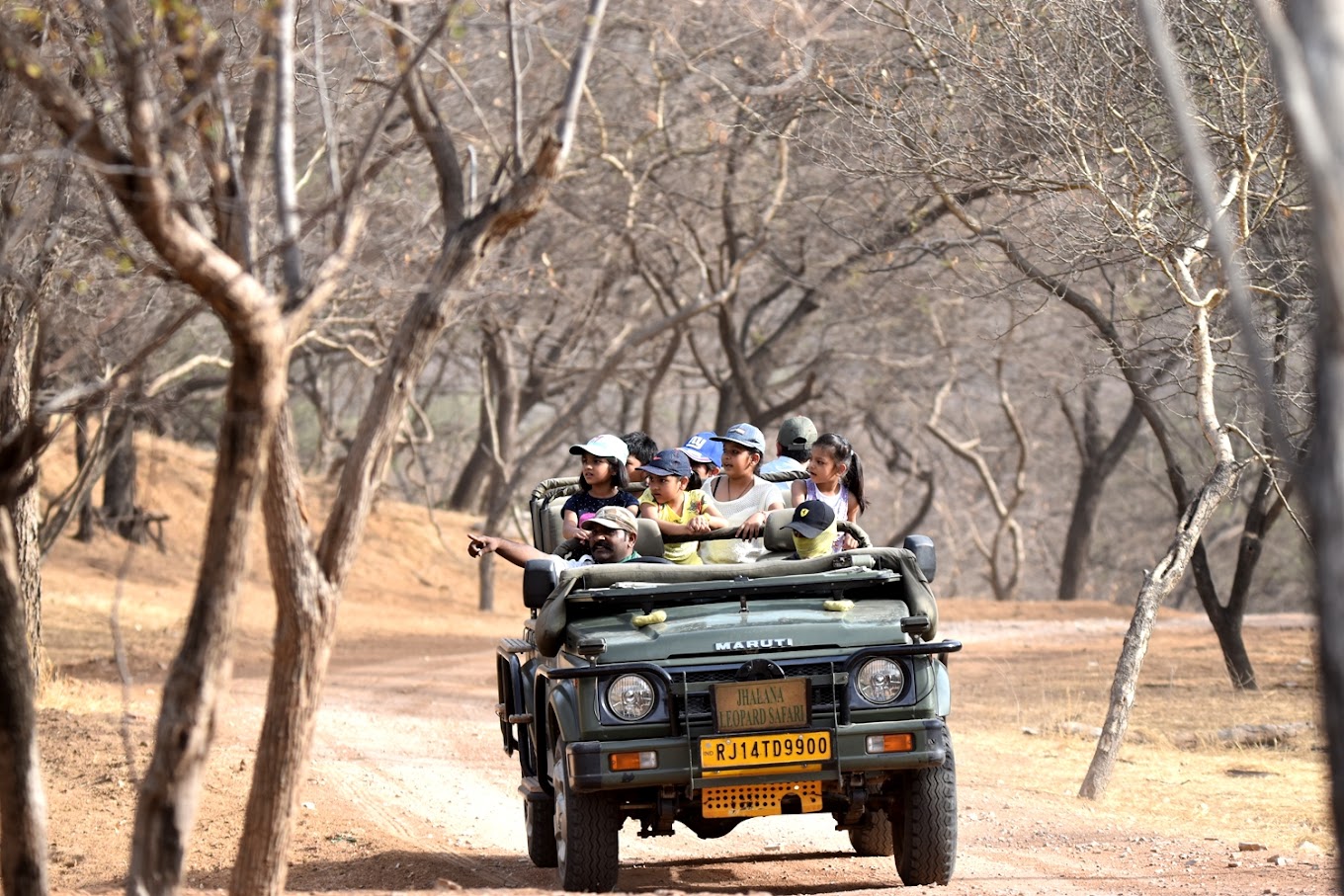 World Of Wilders- Jhalana Leopard Safari